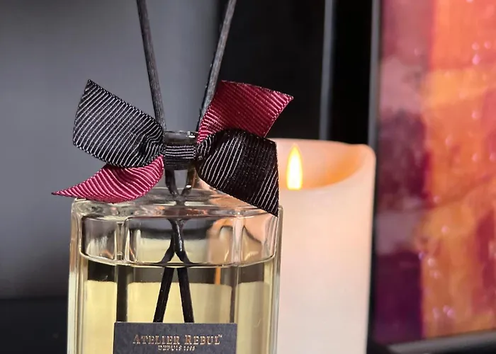 דירה Jungle Wellness *